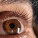 Набір складів OKO Lash&Brow для ламінування вій і брів 005378 фото 8